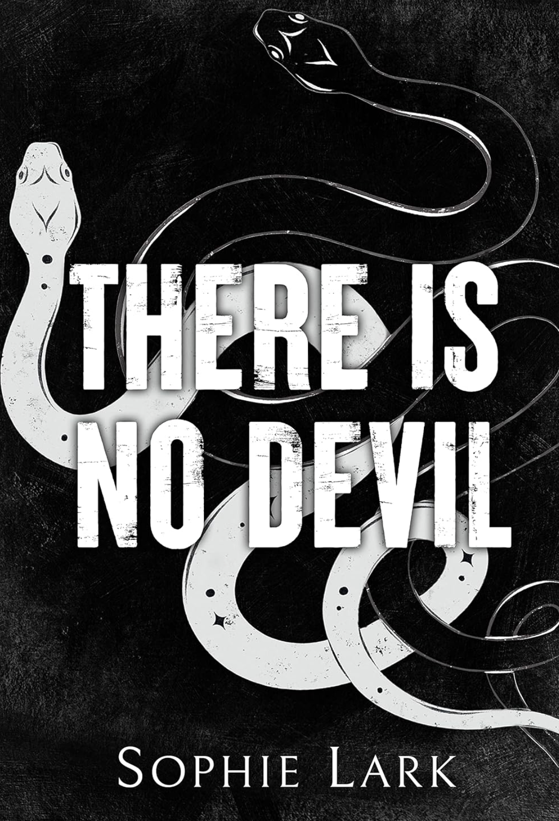 There is No Devil- Sophie Lark